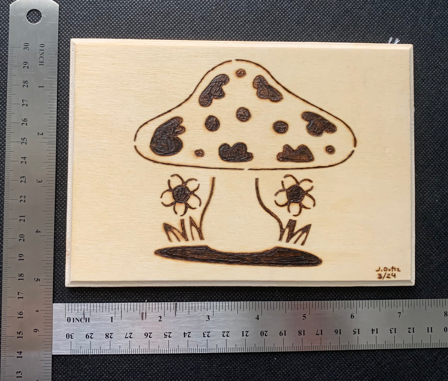 Toad