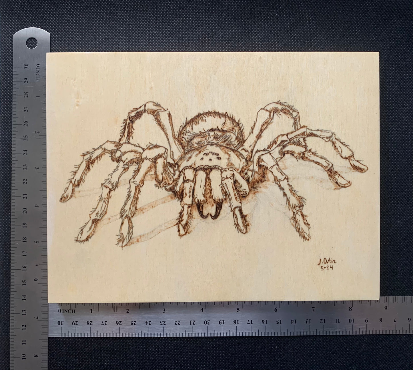 Spider