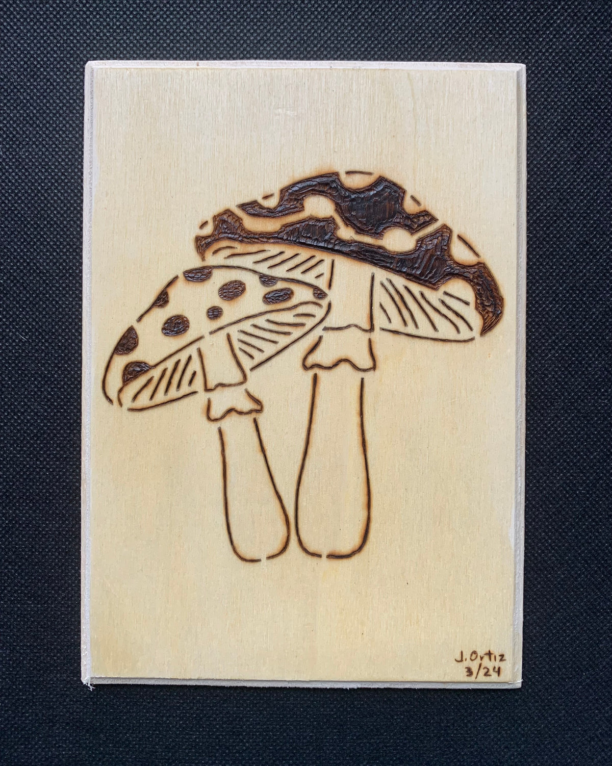 Pyrography Art — Burned by Hand